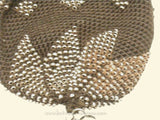 Detail (photo lightened) of area of rust on steel beads