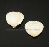 Dauplaise Earrings Cockle Sea Shells 