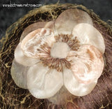 Taupe Whimsey Veil Hat Church Veil Vintage Hat 1960s